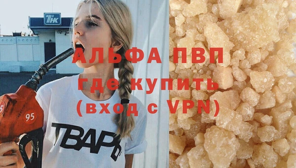 спайс Вяземский