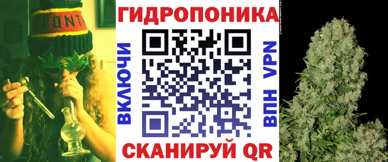 Марихуана план  Калтан 